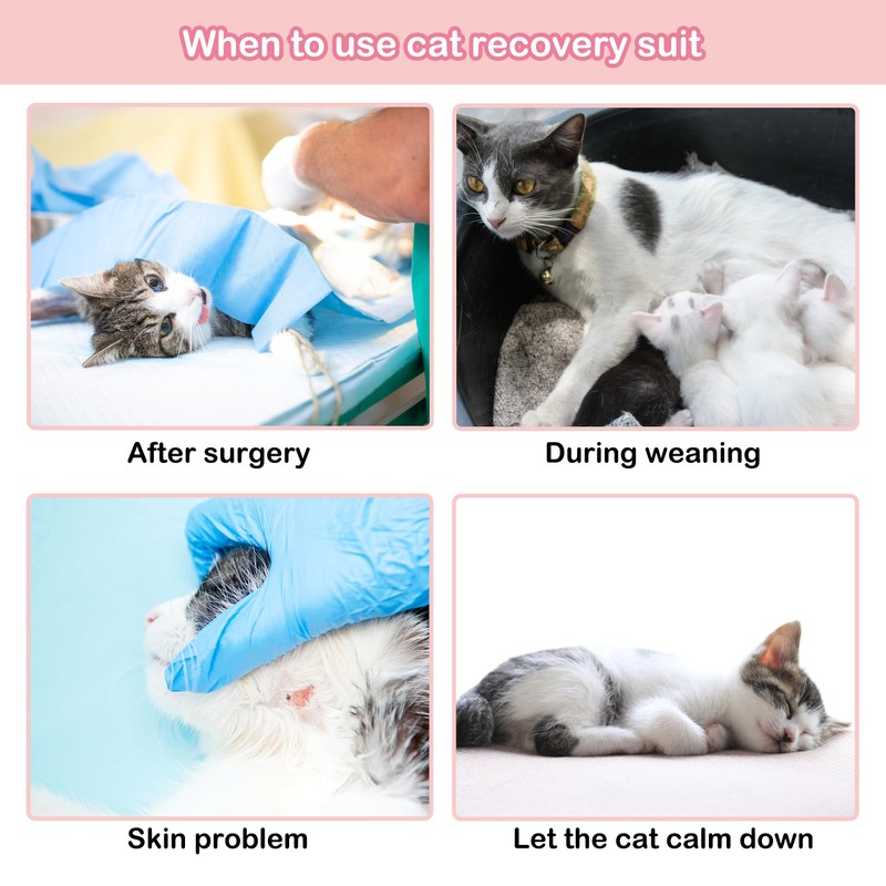 PUMYPOREITY Cat Recovery Suit After Surgery, Cat Onesie for Cats