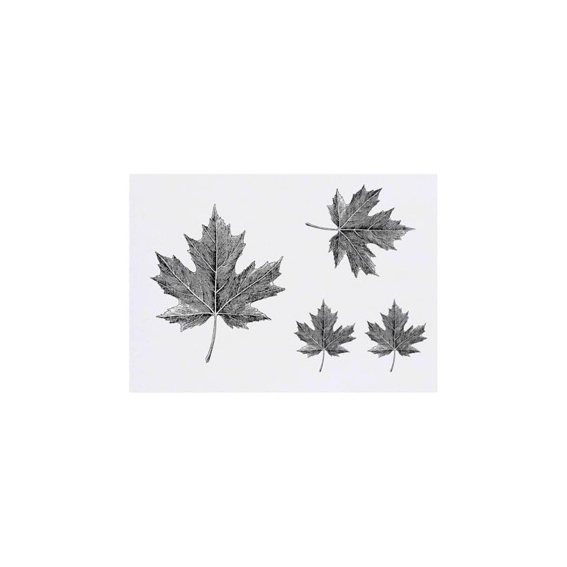 4 x 'Maple Leaf' Temporary Tattoos - Water Resistant, Skin-Safe,