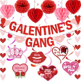 GRACEN Galentines Gang Banner with Galentines Paper Flowers & Hanging Decorations - Perfect for Valentine's Day Parties