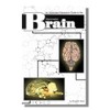Anatomy Lab Sheep Brain Dissection Kit with Scalpel Dissection Guide