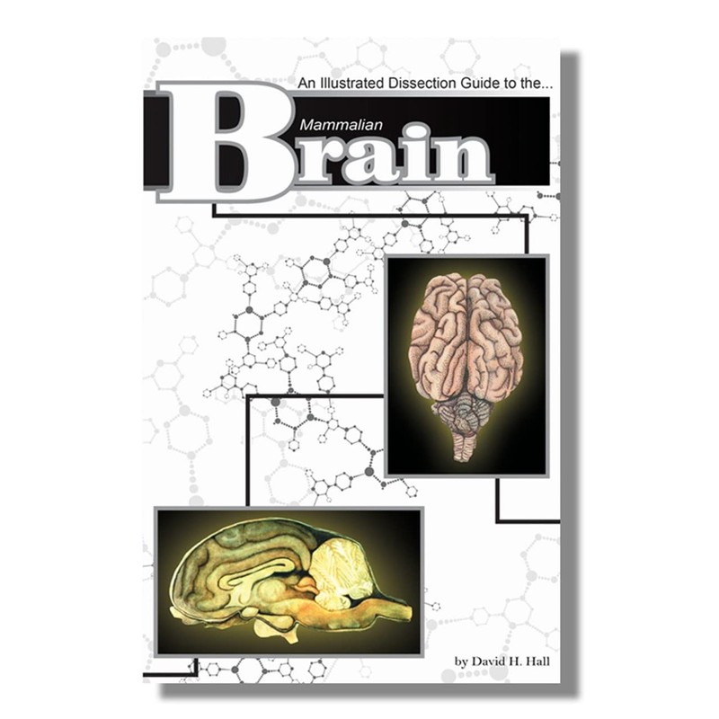 Anatomy Lab Sheep Brain Dissection Kit with Scalpel Dissection Guide