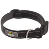 Dawn Dog Collar Small - Reflective, Soft & Padded Breathable