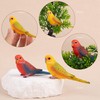 AUEAR, 4 Pack Bird Decorative Figurines Mini Fake Parrot Ornaments