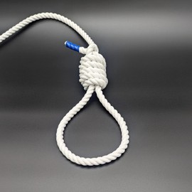 Lunosur Ropework Practice Rope, Made in Japan, 0.4 inches (10 mm), 1.6 ft (5 m), Marine Rope, For Lifting, Hanging, Towing..