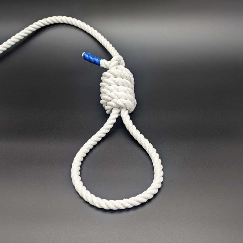 Lunosur Ropework Practice Rope, Made in Japan, 0.4 inches (10