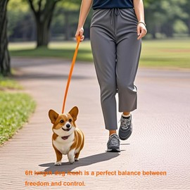 Siumouhoi 6 FT Puppy Leashes, Strong Traditional Style Leash with Easy to Use Collar Hook,Dog Lead Great for Small and Medium and Large Dog (Orange, 5/8 in x 6 ft)
