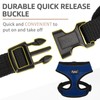 PUPTECK Soft Mesh Dog Harness and Leash Set Pet Puppy