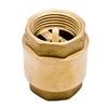 DuraChoice 1" Brass In-Line Spring Check Valve - 200WOG