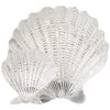 Mariposa 2 Piece Scallop Shell Chip & Dip, NULL