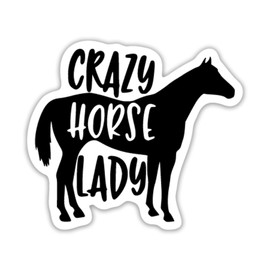 Crazy Horse Lady Vinyl Decal Sticker | Cars Trucks Vans SUVs Walls Cups Laptops | 5 Inch | Black | KCD2679B