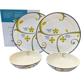 Portion Control Plate and Bowl Set - Set of Two 9.5 In Tempered Glass Portion Control Plates and Two 8 oz Porcelain Bowls