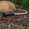 Flexzilla Colors SwivelGrip Garden Hose 5/8 in. x 50 ft.,