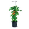 PROSPERPLAST Tomato Grower Plastic Planter in Anthracite (L) x 29.5