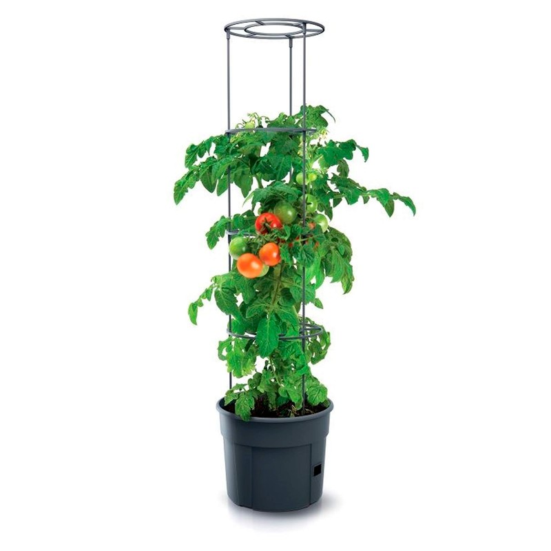 PROSPERPLAST Tomato Grower Plastic Planter in Anthracite (L) x 29.5