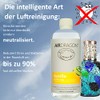 AIRDRAGON AIRDRAGON VANILLE - katalytischer Raumduft ohne knstliche Duftstoffe -