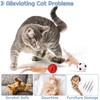 Partideal Pack of 12 Cat Balls Toy with Feathers, Interactive