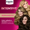 Pallet Icc 5.68Castañoroj Es