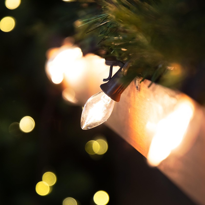 Northlight 25 Count Clear C7 Christmas Lights, 24ft Brown Wire