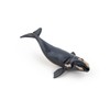Papo - Hand painted - Animal Figures - Right whale