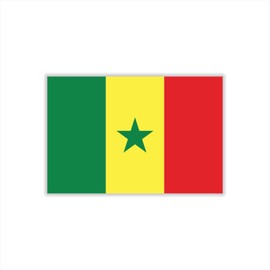 Womaha 30 Sheets Senegal Flag Temporary Tattoos for Kids Adults Fans Fake Face Tattoo Stickers