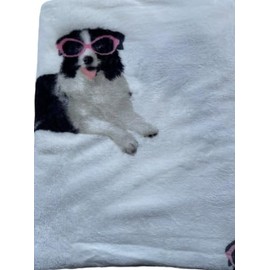 BBO JustHome Fun Print Soft Cozy Lightweight 50 x 60 Fleece Throw Blanket (Fancy Dog with Glasses)