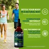 E2H Chlorophyll Liquid Drops - Energy Booster, Digestion, Immune System