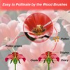 15pcs Pollination Brush, Wooden Plant Pollinating Brush Pollinator Brushes Tool