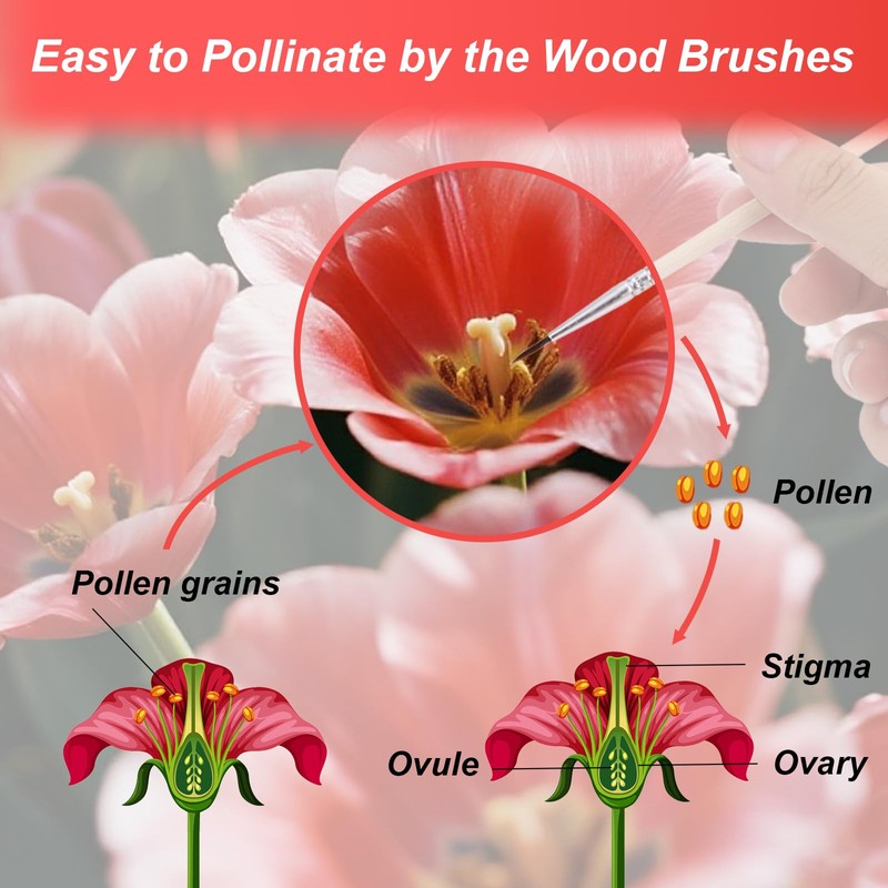 15pcs Pollination Brush, Wooden Plant Pollinating Brush Pollinator Brushes Tool