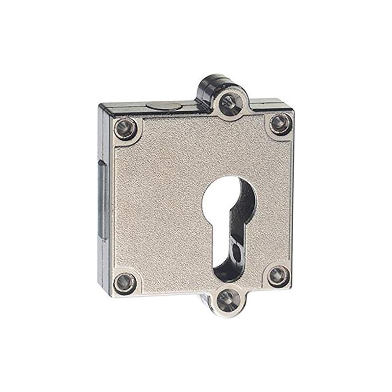 Format 4021677059197 – Riegelschloss Dorn 40 mm PZ