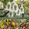 DMIMIA Fruit Protection Bags 100 pcs, Reusable Mesh Bags for