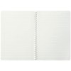 Maruman N479-33 Cocochi Ring Notebook, A5, Light Green, Set of