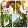 HXRYAGi Fruit Picker Pole with Basket Telescoping 13Ft Adjustable Apple