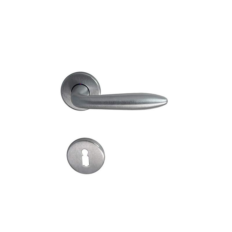 Dream II R - BB Door Handle Stainless Steel Matt