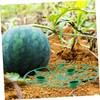 Sosoport 5pcs Melon Cradle Plant Support Reusable Watermelon Holder for