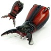 Molix Superborn Beetle Baby Col. Black Red Stripes
