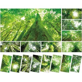 8 Pcs Fluorescent Light Covers with 80 Magnets Decorative for Classroom Ceiling Light 4 x 2 Feet Magnetic Light Covers Filter Easy Install for Office Hospitals & Home Drop Ceiling Supplies Rainforest