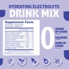 Blueberry Hydration Powder – Zero Sugar Electrolyte Drink Mix |
