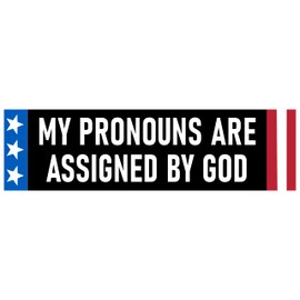 My Pronouns are Assigned by God Bumper Sticker My Pronouns are Assigned by God Sticker Decal