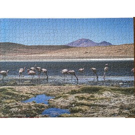 World Traveler's Puzzles - 1000 Piece Nature Jigsaw Puzzle for Adults & Families - Wildlife Photography of Pink Flamingos in Salar de Uyuni, Bolivia - Unique Gift Idea for Puzzle & Travel Lovers