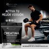 Alpha Labs Creatina Monohidratada 500g Micronizada Alta Pure