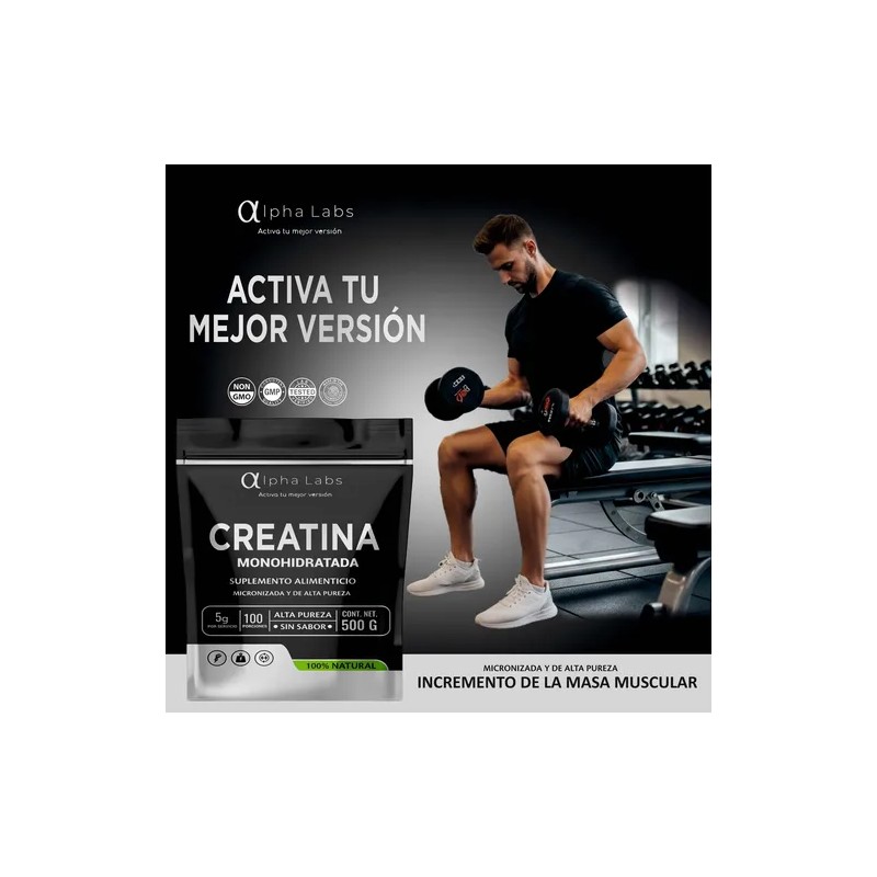 Alpha Labs Creatina Monohidratada 500g Micronizada Alta Pure