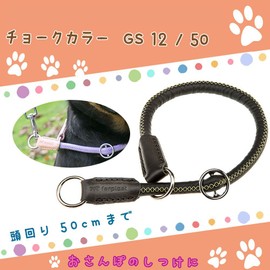 Ferplast Dog training collar, 1 piece, 250 g