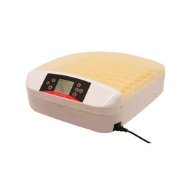 Stromberg's PP373 Econo 56 Egg Incubator, White