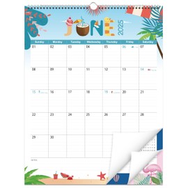 GuassLee Extra Large Wall Calendar 2025-2026, 19-Month Vertical Wall Calendar 2025, Jun. 2025 to Dec. 2026, 17" X 22" Paper Hanging Planner with Thick Paper Spiral Bound for Office Home Organizing