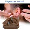 SimCoach Modelo de oreja de acupuntura, réplica de oreja artificial