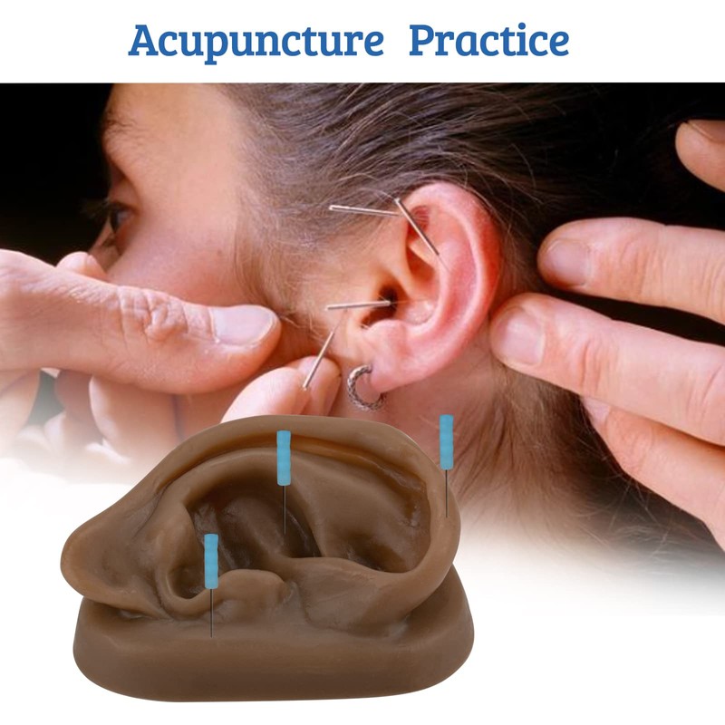 SimCoach Modelo de oreja de acupuntura, réplica de oreja artificial