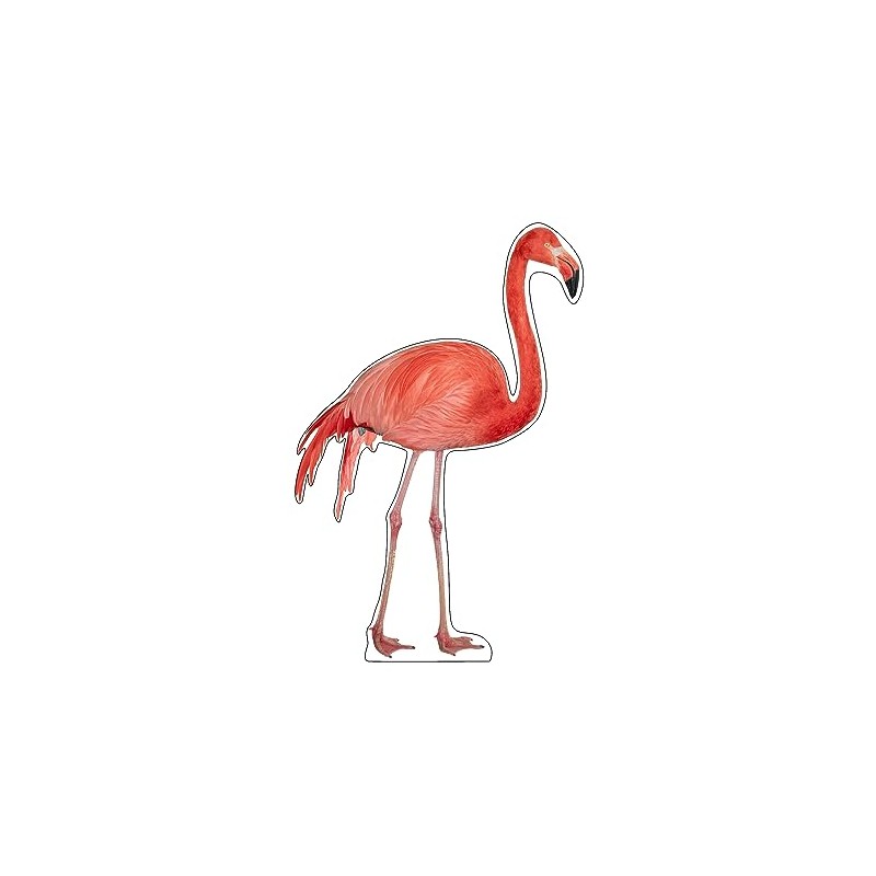 Life Size Cardboard Cutout Standup | Waterproof | Animals -