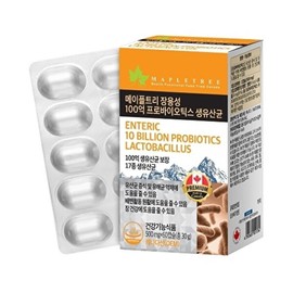 Maple Tree 메이플트리 메이플트리 장용성 100억마리 생유산균 60캡슐 2개월분 MapleTree MapleTree Probiotic 10 Billion CFU 60 Capsules 2-Month Supply