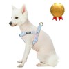 Blueberry Pet Step-in Velvety Polka Dot Flocking Dog Harness in