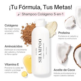 5 en 1 Collagen Hair Vitamin - Shampoo Anticaída, Crecimiento de Cabello e Hidratante Cuero Cabelludo - Shampoo Reparador para Cabello Dañado con Colágeno, Proteína, Aminoácidos, Omega 3 & Hair Vitamins - Sin Parabenos y Siliconas, 500 ml